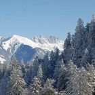 Blick über den Tannen ins Prättigau