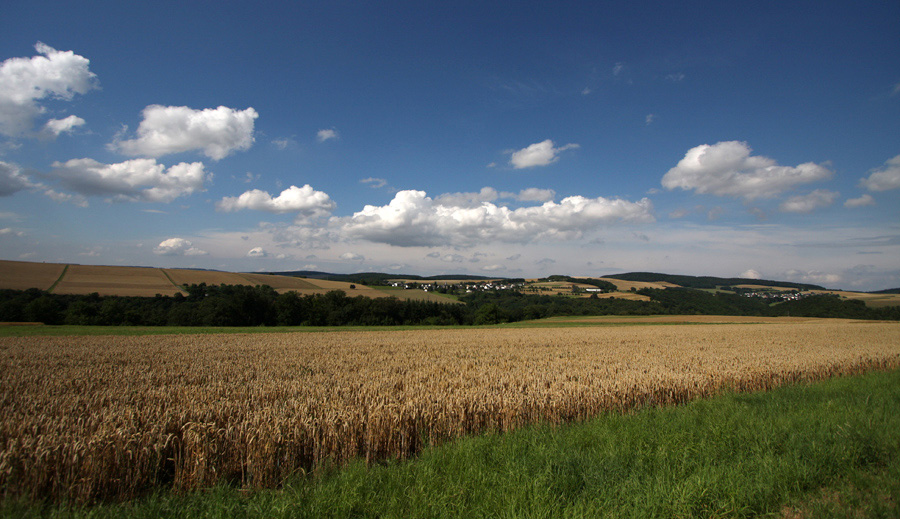 Blick über den Taunus