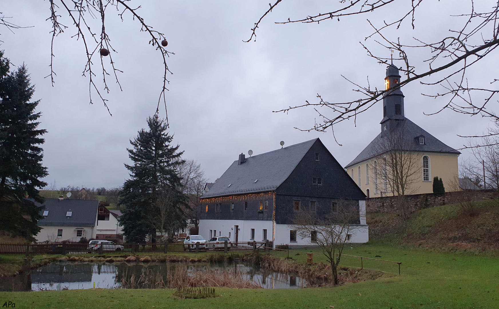 Blick über den Teich..