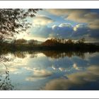 Blick über den Teich