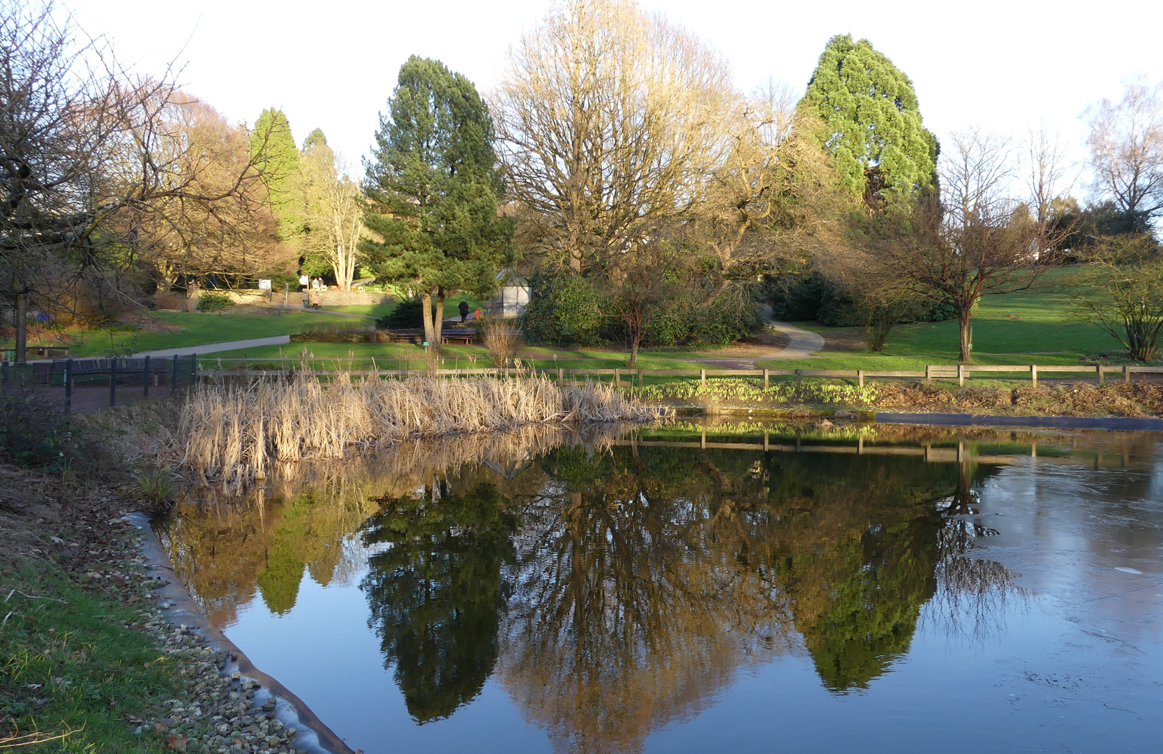 Blick über den Teich Foto & Bild natur, landschaft, solingen
