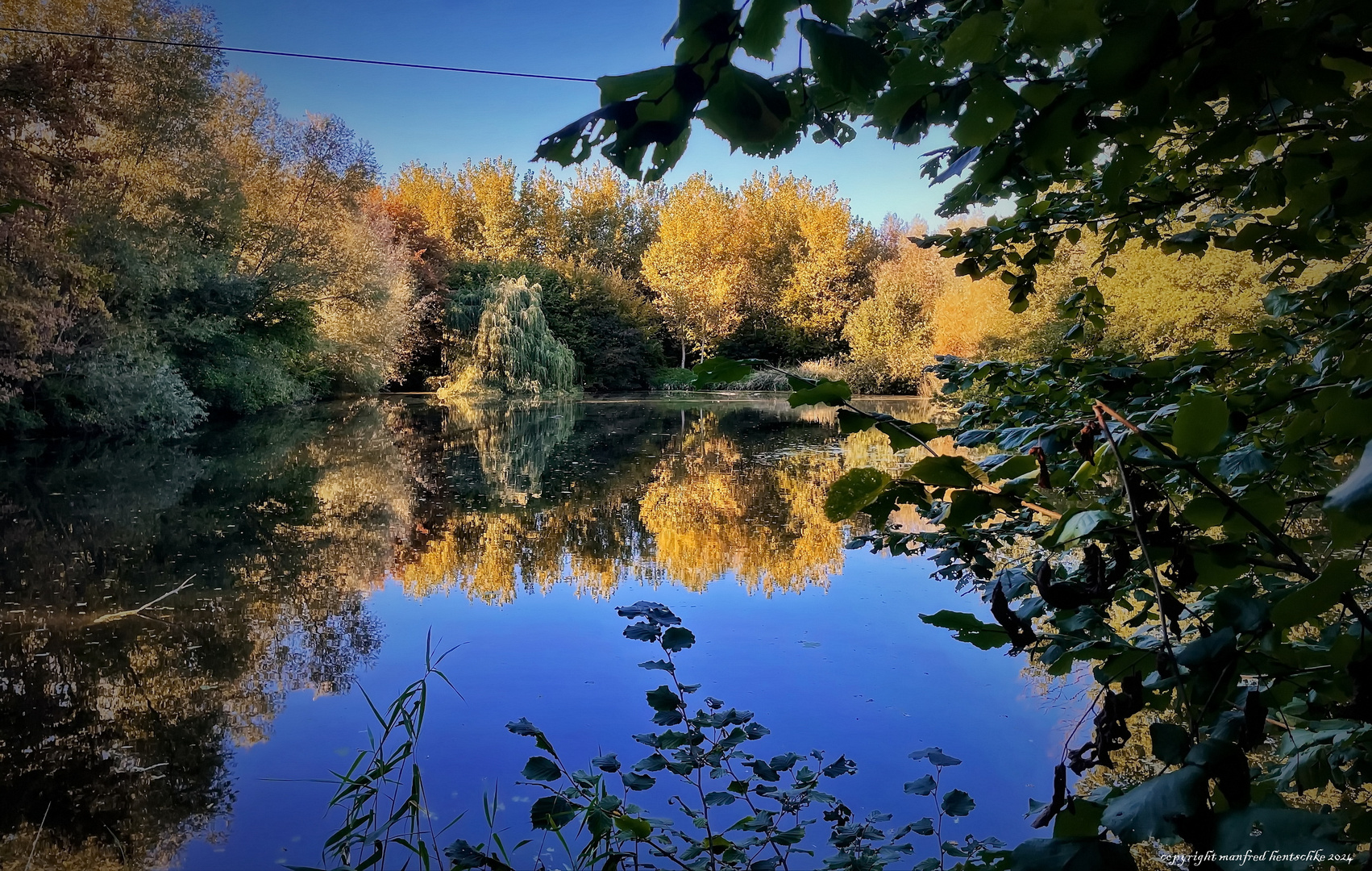 Blick über den Teich