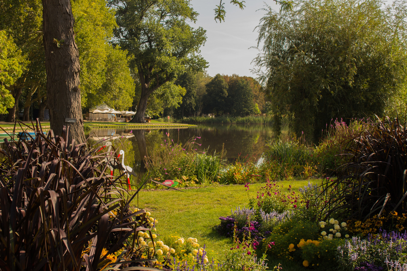 Blick über den Teich Foto & Bild natur, landschaft, sonstiges Bilder