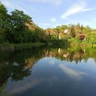 Blick über den Teich