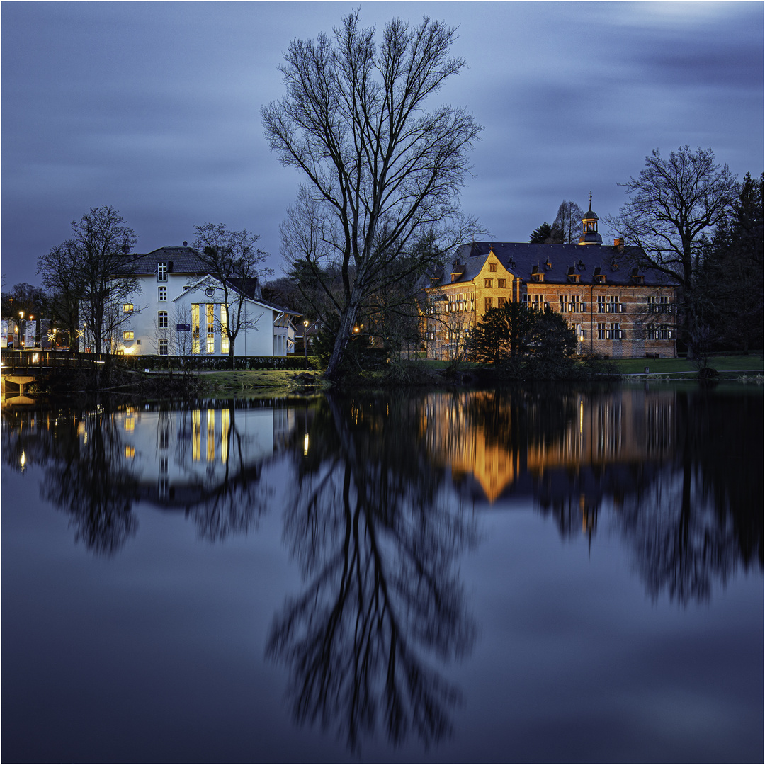 Blick über den Teich