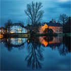 Blick über den Teich