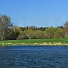 Blick über den Teich