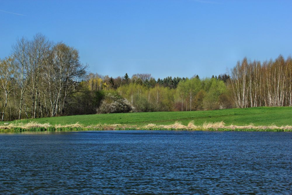 Blick über den Teich