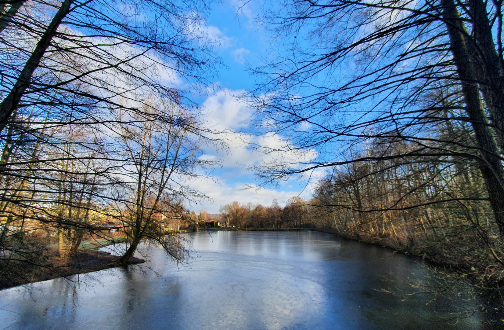 Blick über den Teich