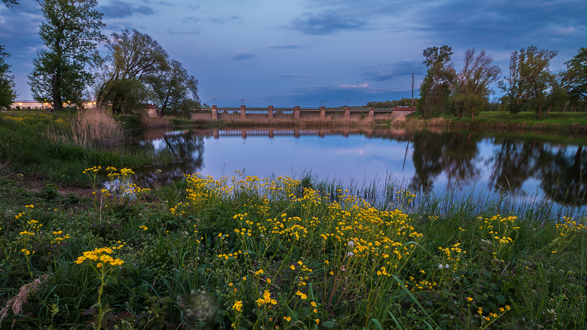 Blick über den Teich