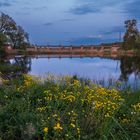 Blick über den Teich