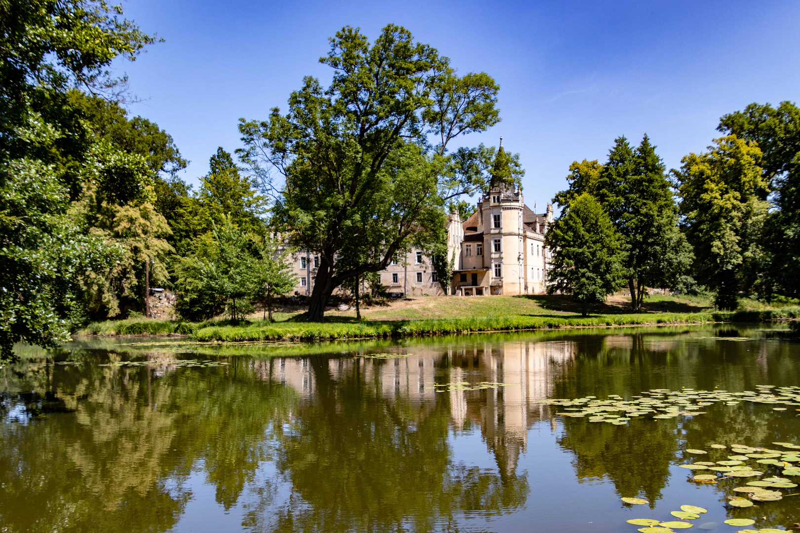 Blick über den Teich zum Schloss in Burgkemnitz Foto & Bild