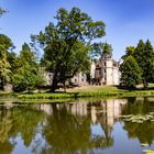 Blick über den Teich zum Schloss in Burgkemnitz