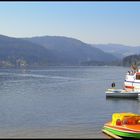 Blick über den Titisee im Südschwarzwald