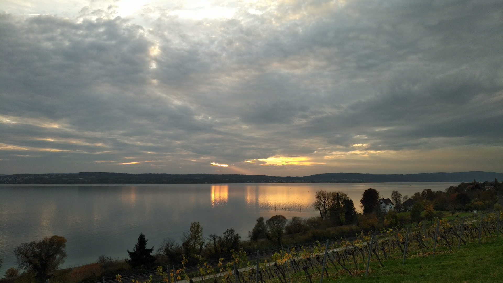 Blick über den Überlinger See