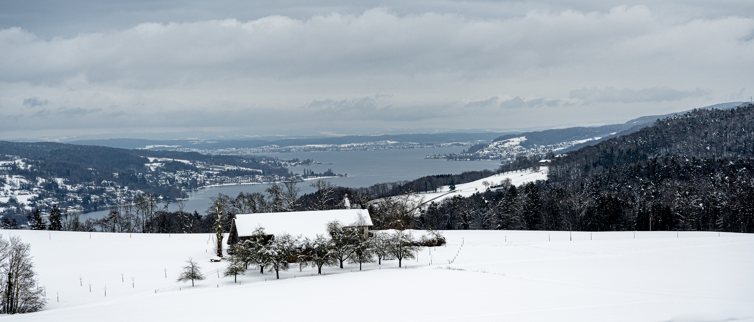 Blick über den Untersee