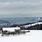 Blick über den Untersee