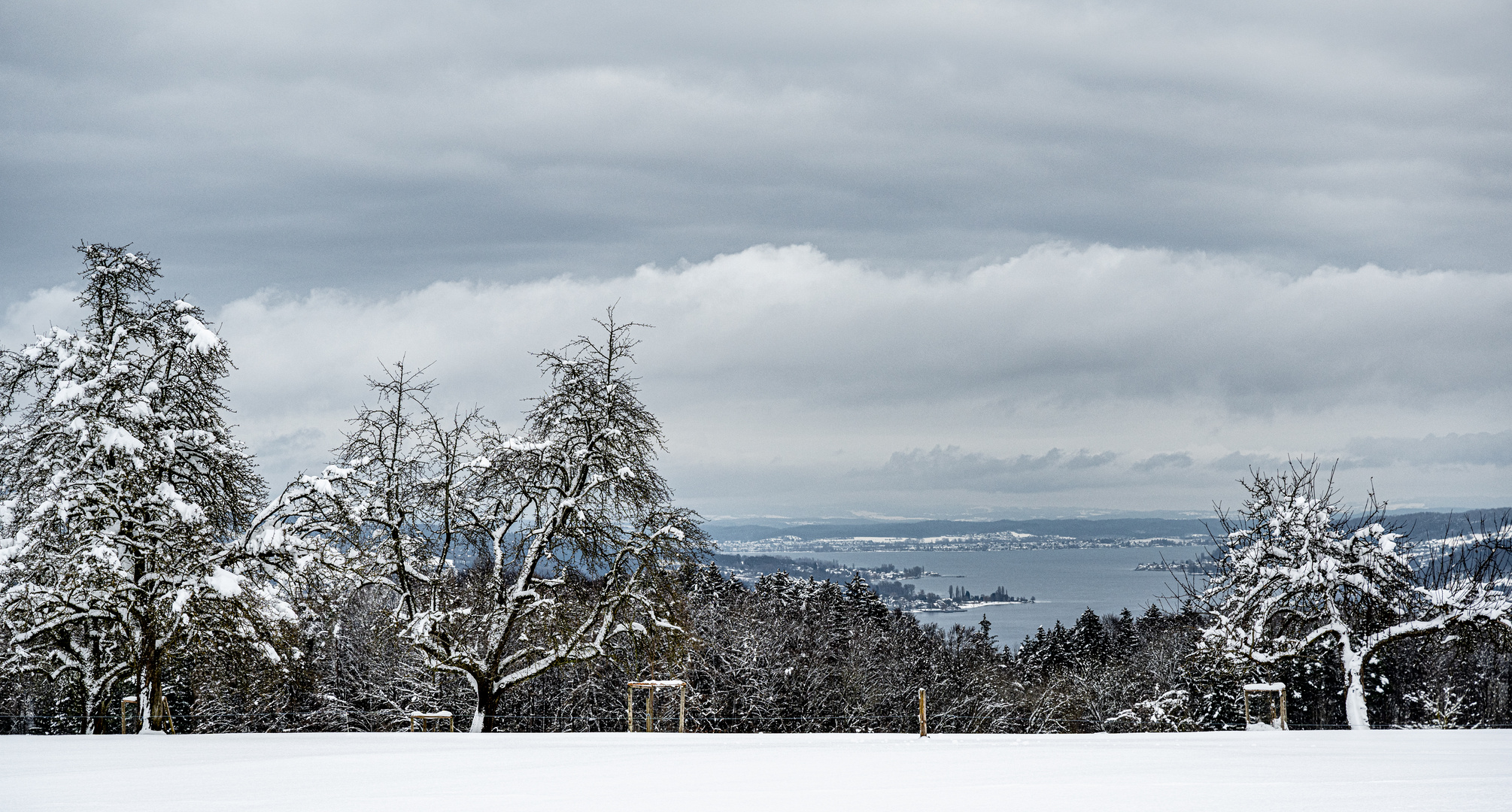 Blick über den Untersee