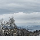 Blick über den Untersee