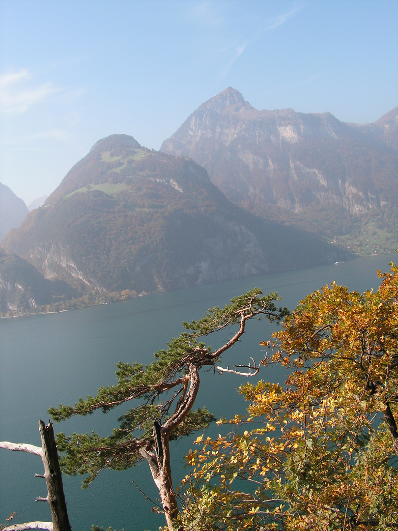 Blick über den Urner See