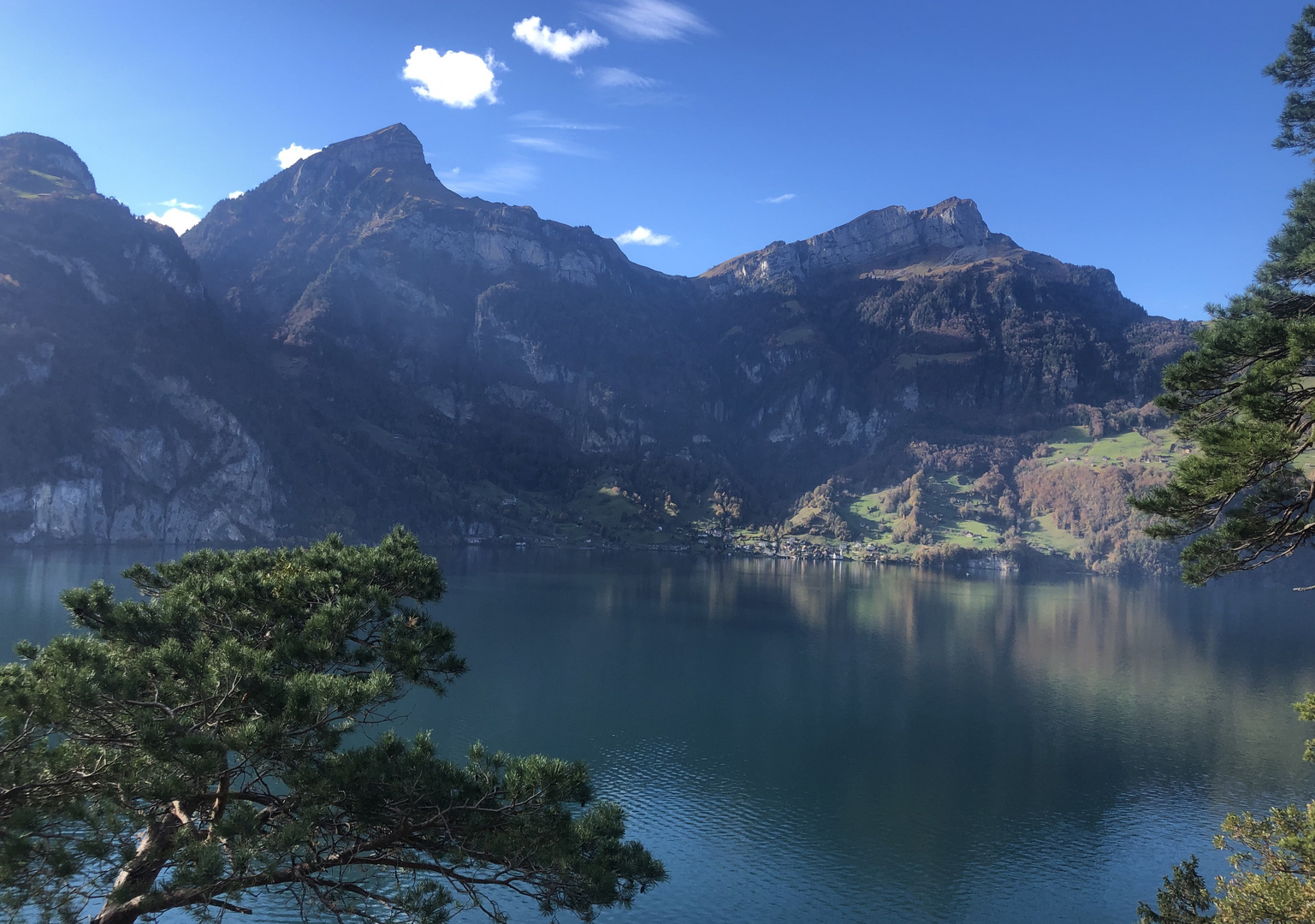 Blick über den Urnersee