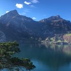 Blick über den Urnersee