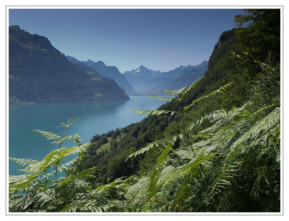 Blick über den Urnersee