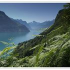 Blick über den Urnersee