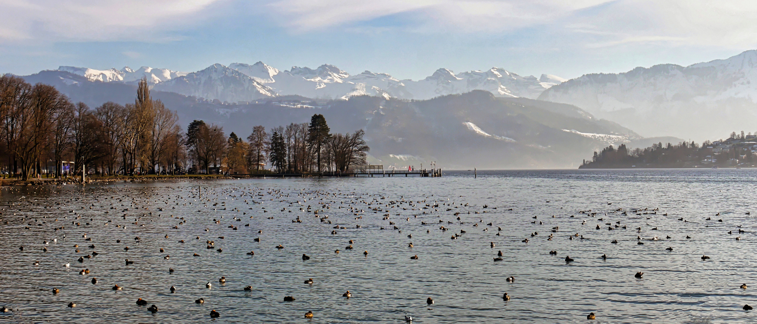 Blick über den Vierwaldstättersee