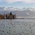 Blick über den Vierwaldstättersee