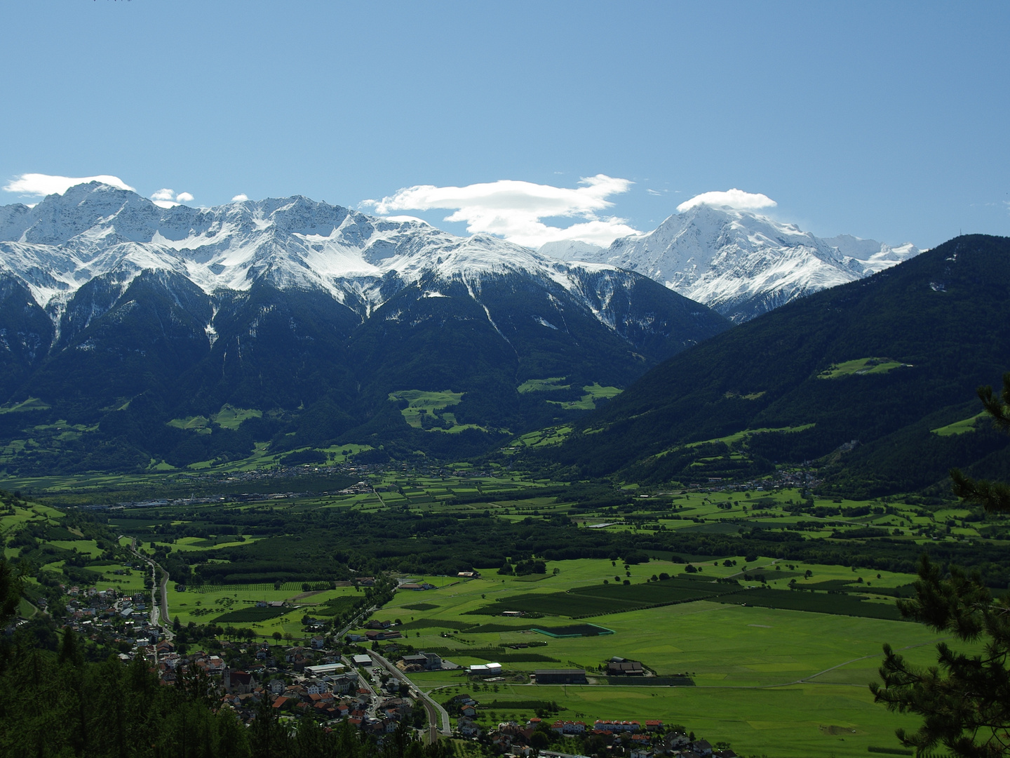 Blick über den Vinschgau Richtung Ortlergruppe