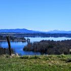 Blick über den Waginger See