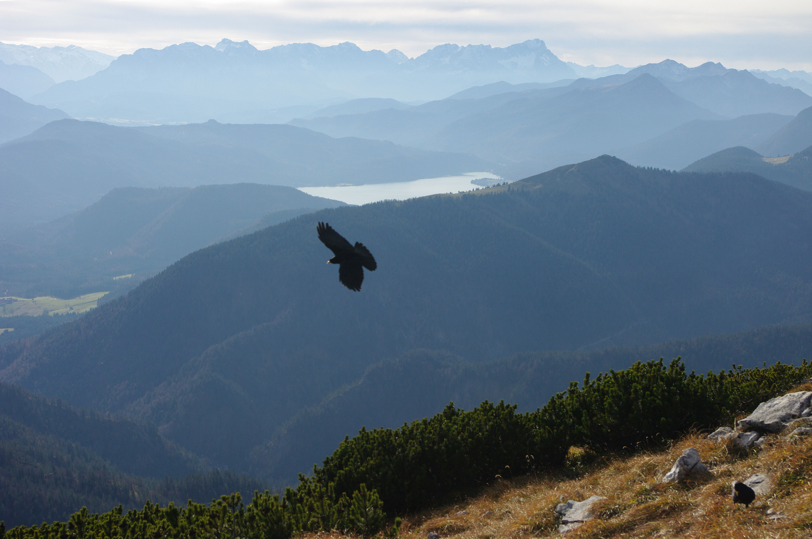 Blick über den Walchensee