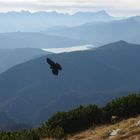 Blick über den Walchensee