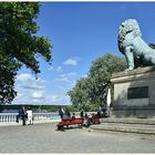 Blick über den Wannsee