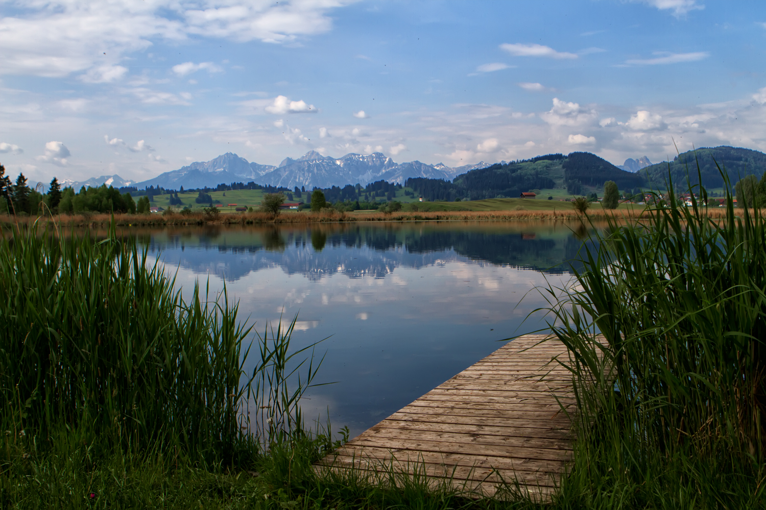 Blick über den Weiher