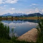 Blick über den Weiher