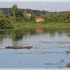 Blick über den Weiher