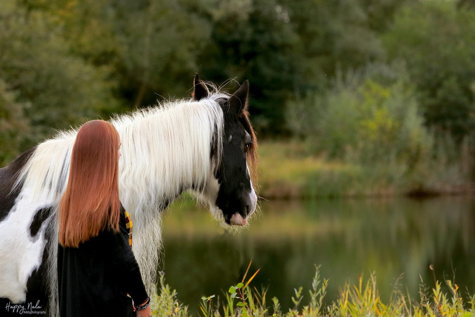 Blick über den Weiher