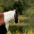 Blick über den Weiher