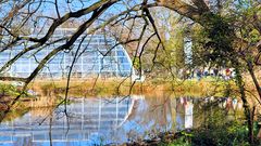 Blick über den Weiher zum Schaugewächshaus