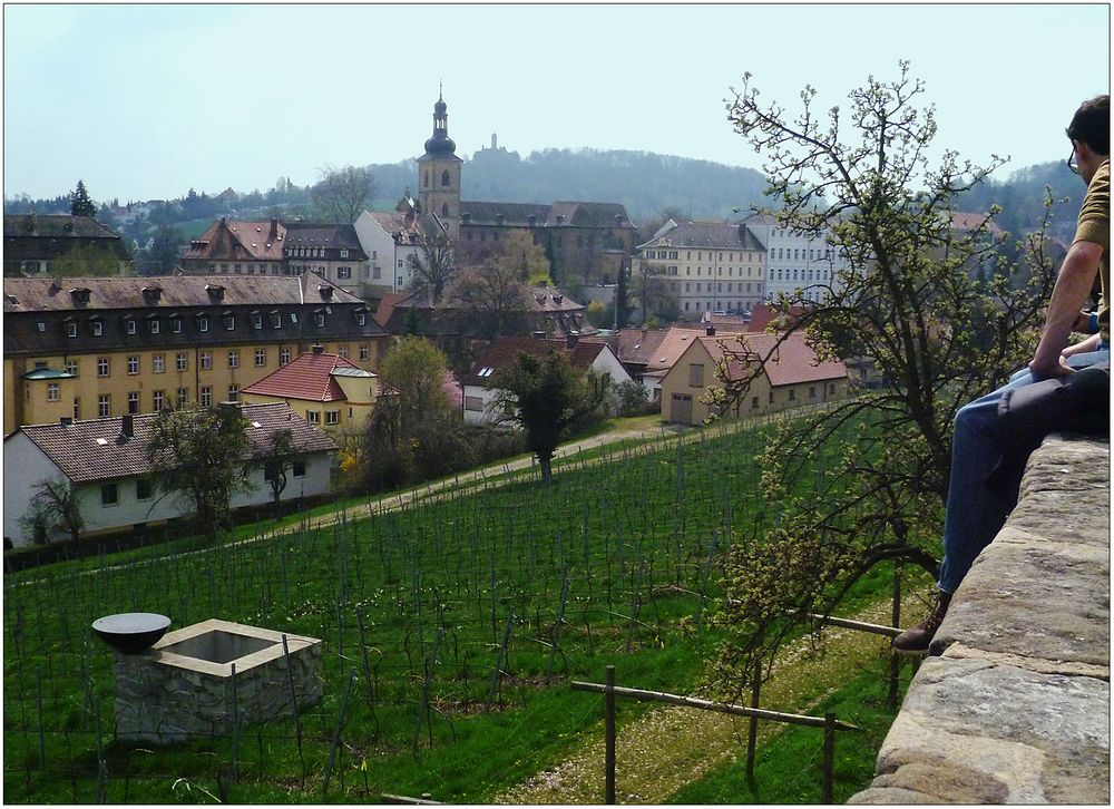 Blick über den Weinberg