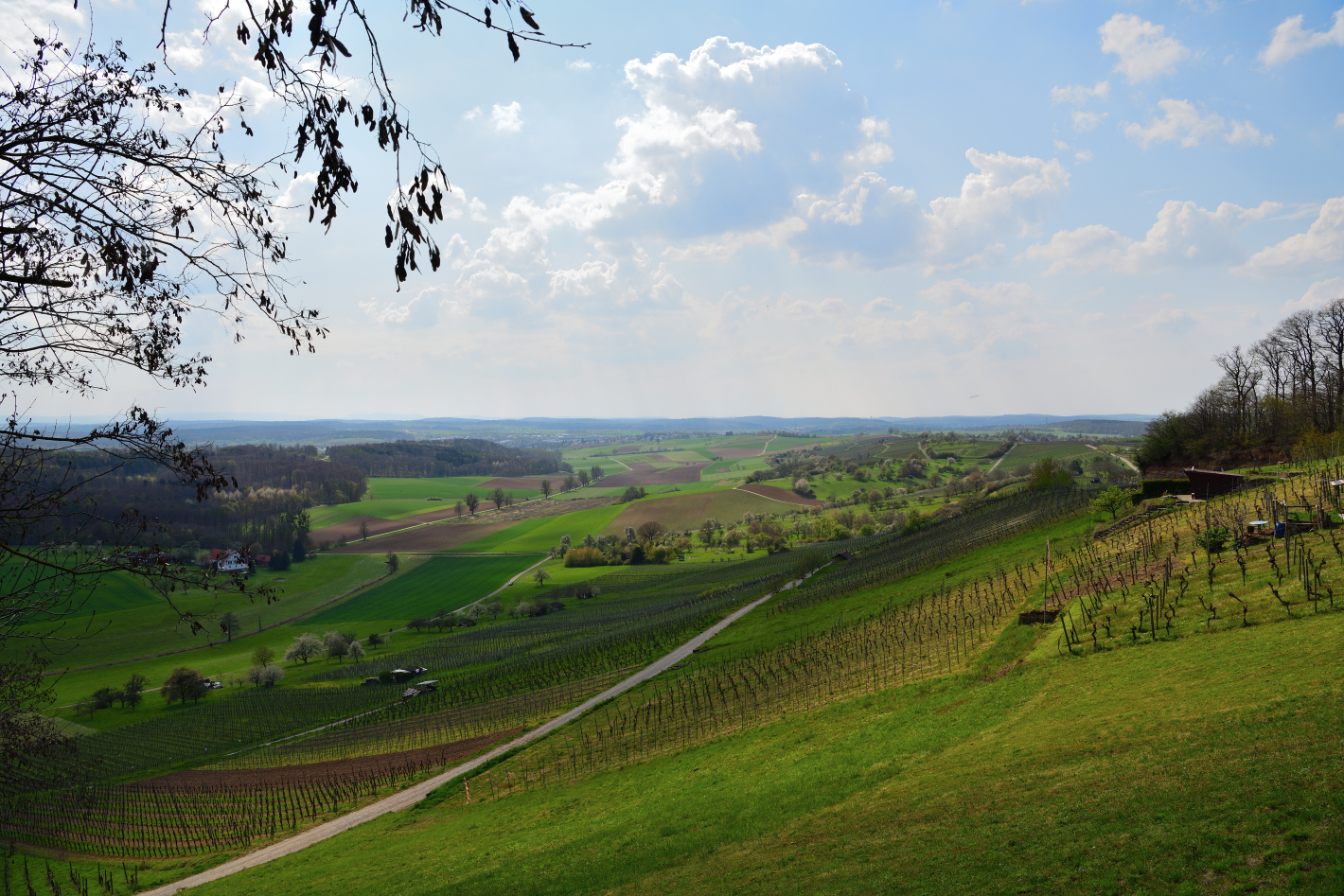 Blick über den Weinbergen, View over the vineyards, Vista sobre los viñedos