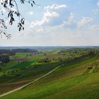 Blick über den Weinbergen, View over the vineyards, Vista sobre los viñedos