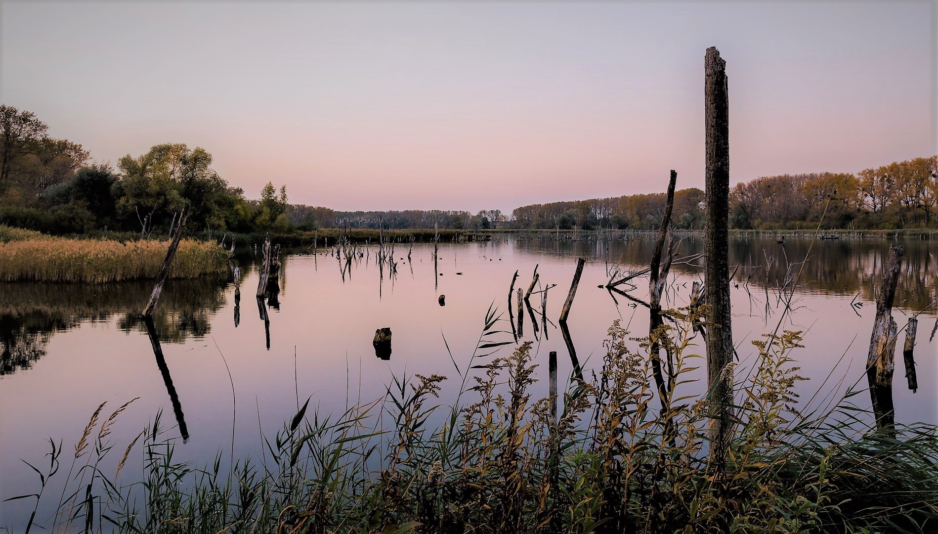 Blick über den Wilslebener See