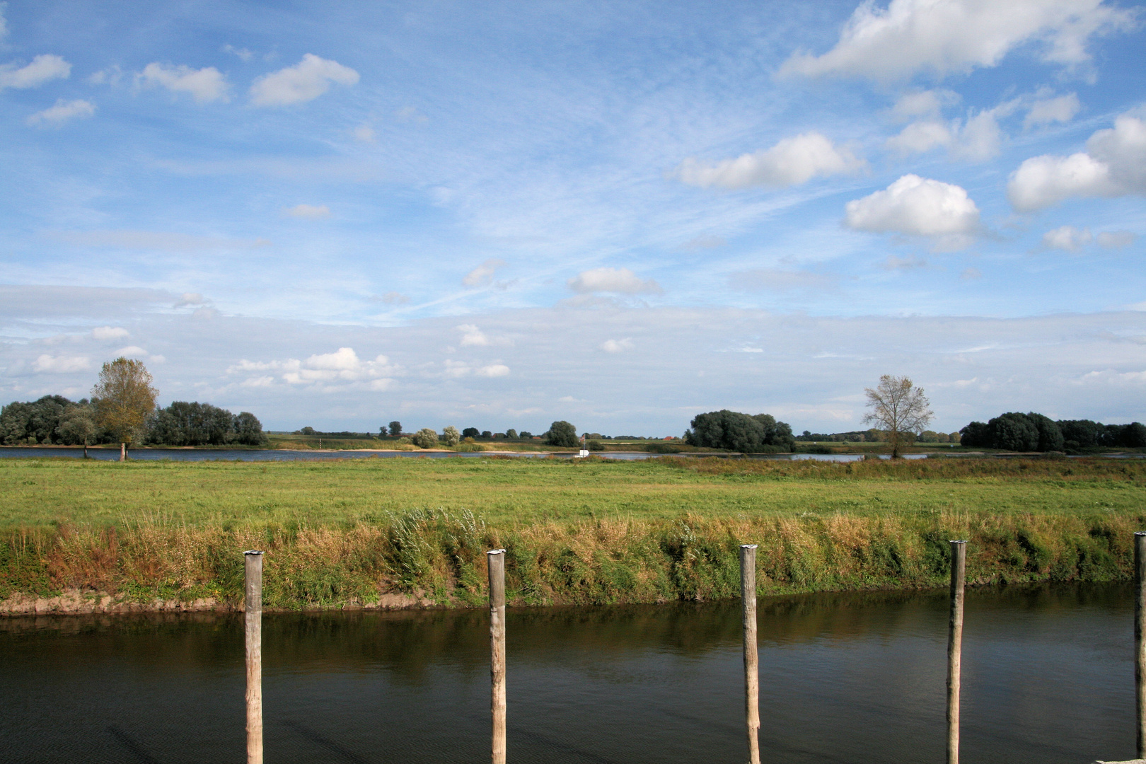 Blick über den Yachthafen auf die Elbe