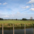 Blick über den Yachthafen auf die Elbe