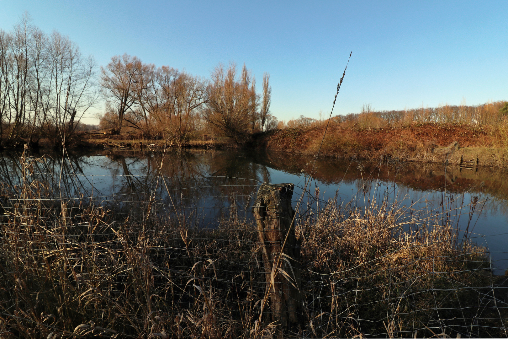 Blick über den Zaun Foto & Bild landschaften, wasser, bäume Bilder