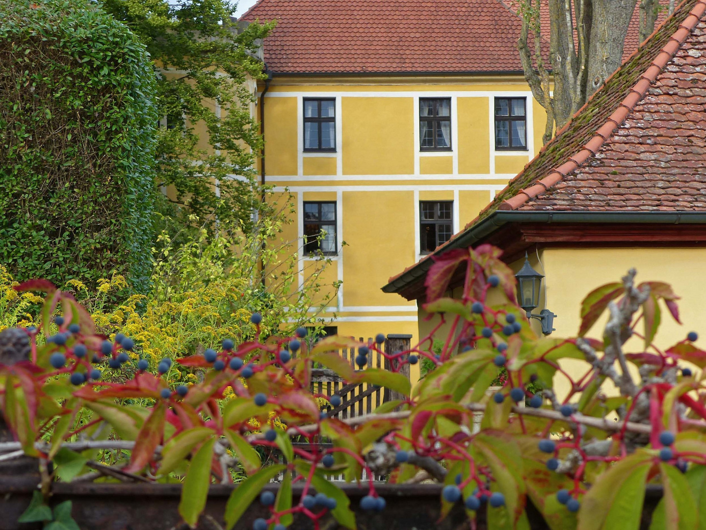 Blick über den Zaun