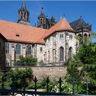 Blick über den Zaun ... Dom Magdeburg